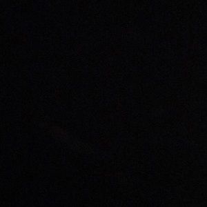 Meet your Posher, Bela